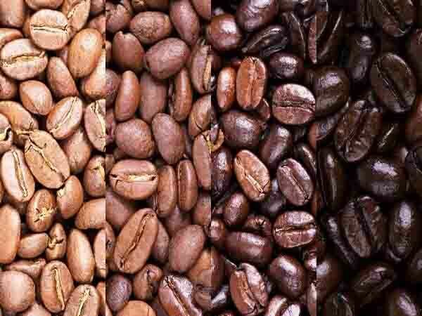 Four types of coffee roasts