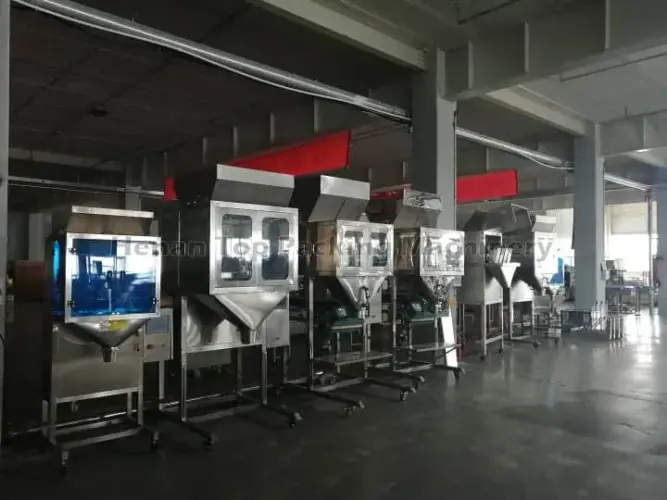Mesin Pembungkusan Weigher 2-Head
