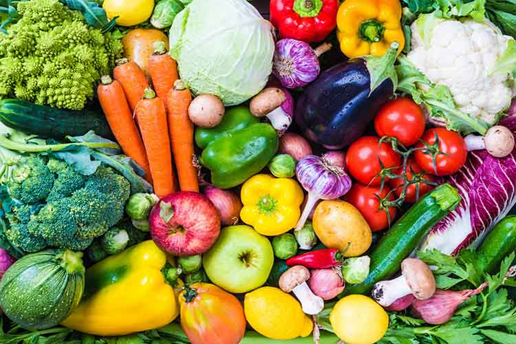 Various vegetables beneficial for human health