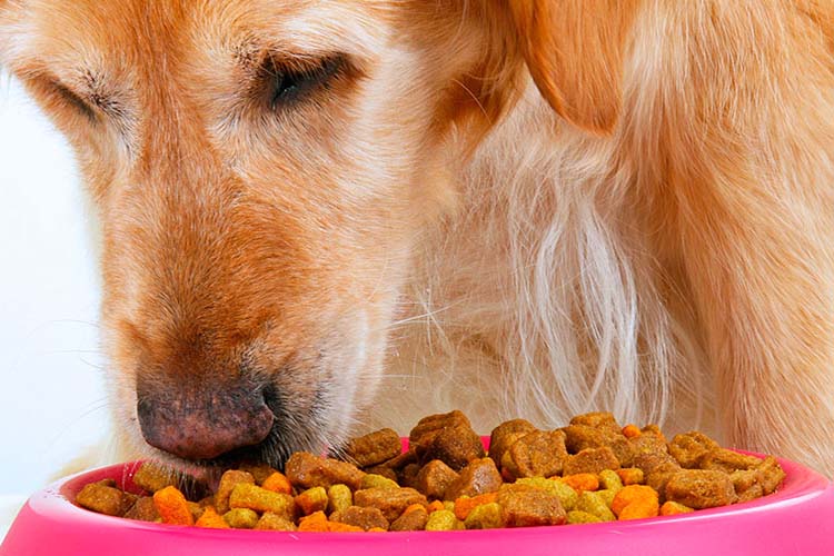 Pet Food Packaging Machine: The Ultimate Buying Guide