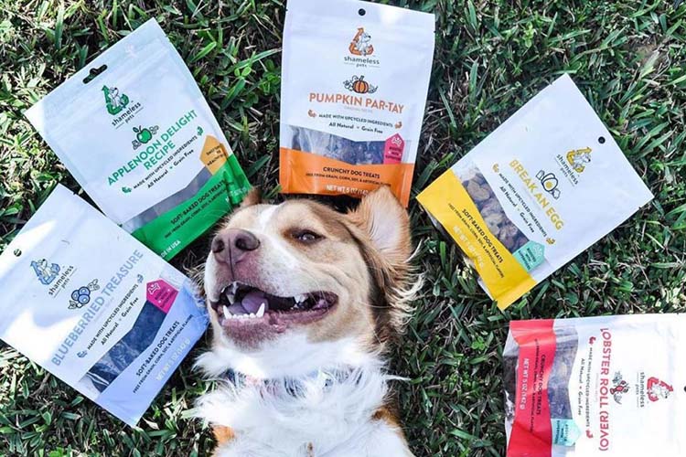 5 Tips to Help you Choose the Excellent Stand Up Pouches for PET Food Packaging