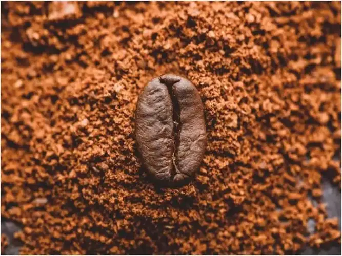 پودر قهوه ای زمینی توسط قیمت دستگاه بسته بندی پودر قهوه