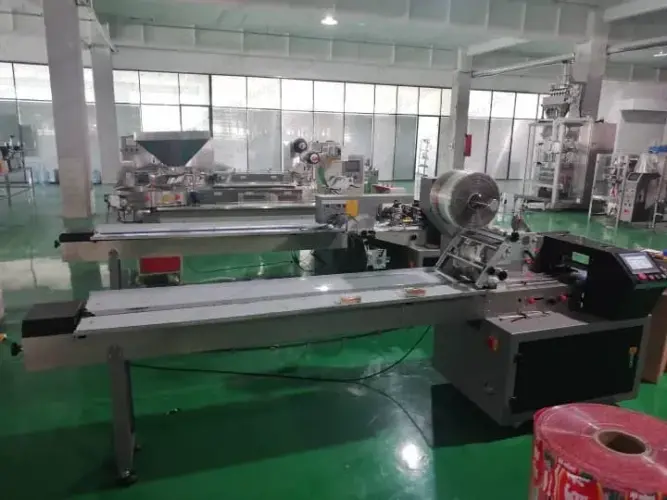 Horizontal pouch packing machine from shuliy