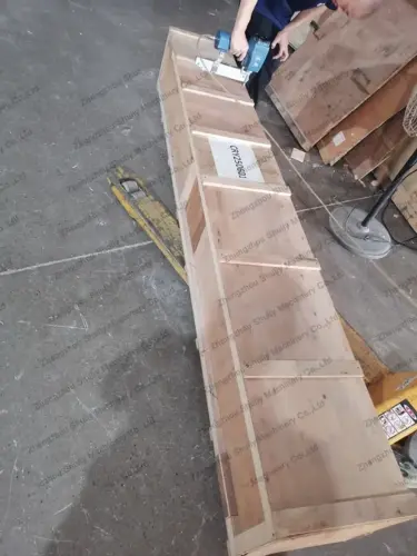 Transportador para máquina de envasado