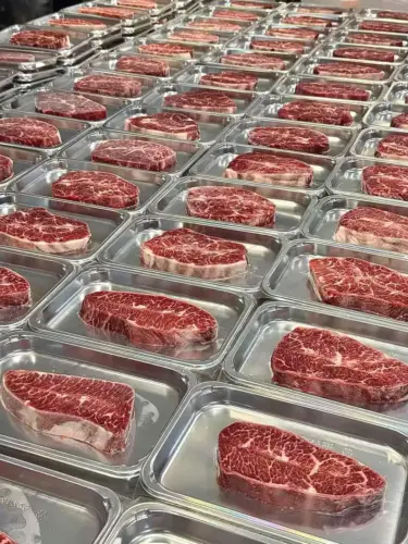 Gıda için vakum cilt ambalaj (vsp) makinesi